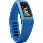 Garmin Vivofit Fitness Band